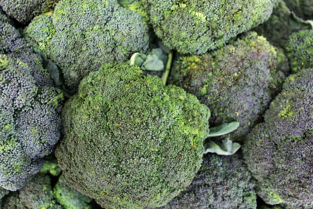 A pile of fresh, green broccoli florets