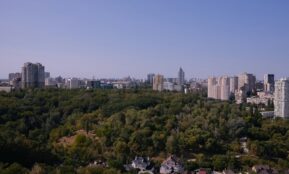 city buildings and green trees under blue sky during daytime