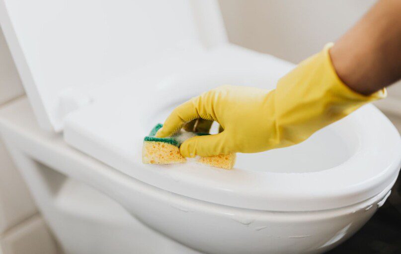 Į klozetą įmečiau česnako skiltelę – rezultatas pribloškė: šis triukas pakeitė mano požiūrį į valymą