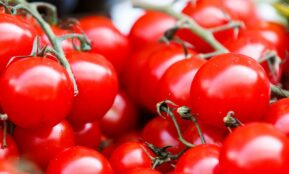 closeup photo of red tomatoes