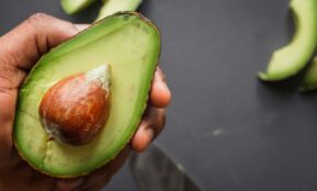 person holding green and brown sliced fruit
