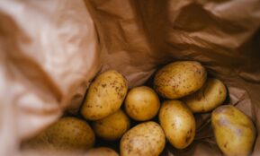green round fruits on brown plastic bag
