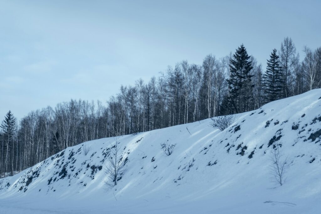 A man riding skis down a snow covered slope