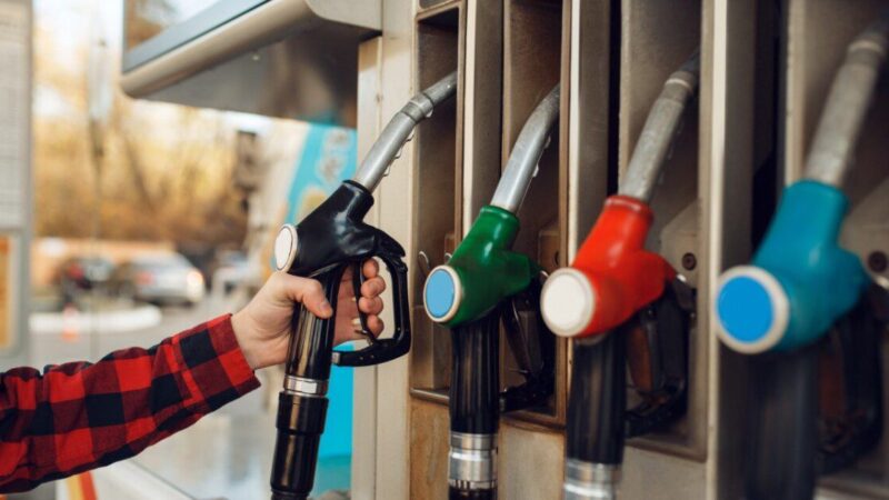 Spaudimas valdžiai auga: Vaitiekūnas paskelbė planą, bet ekspertai jau kelia nepatogius klausimus