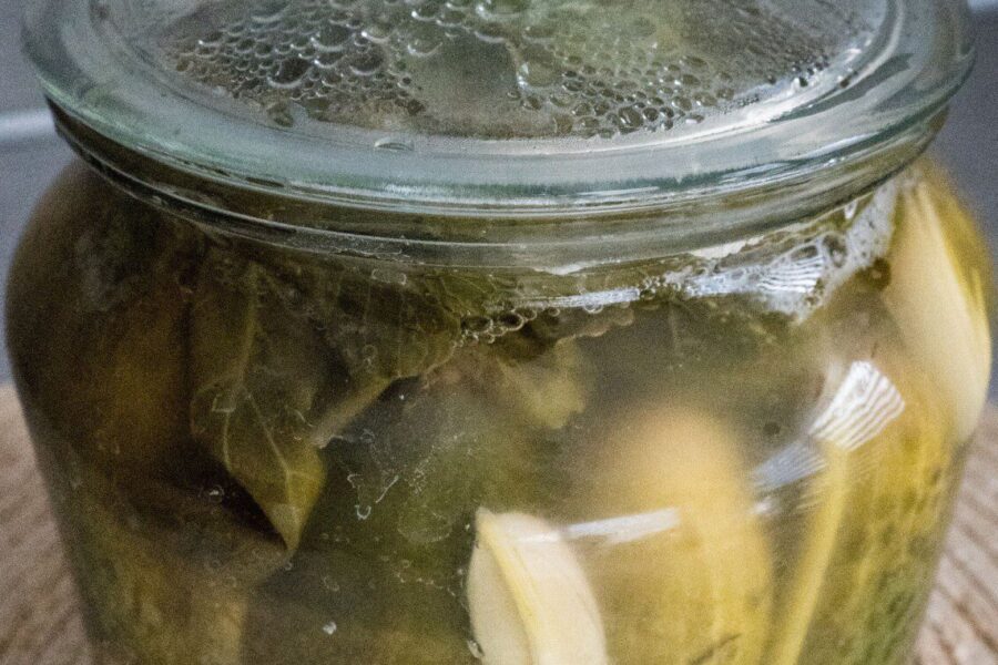 Lenkijos dieta pribloškė gydytojus: šis gėrimas vos per savaitę sutvarko žarnyną