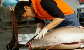 woman in orange t-shirt holding fish