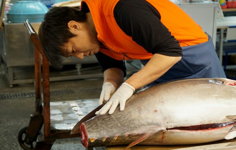 woman in orange t-shirt holding fish