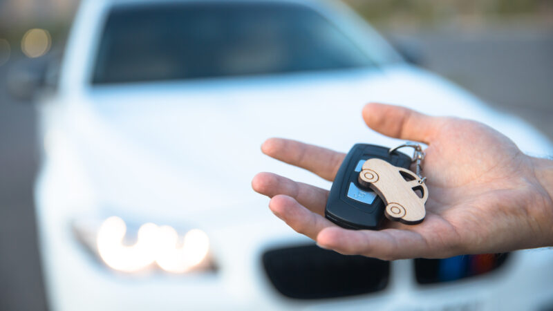 Automobilio signalizacija kaukia be priežasties? Priežastis slypi visai ne ten, kur manėte