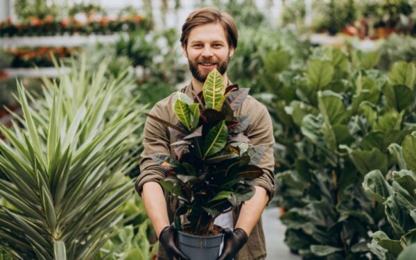 Šeštadienio augalų gidas: atraskite kosminį augalą, kuris atrakins jūsų potencialą