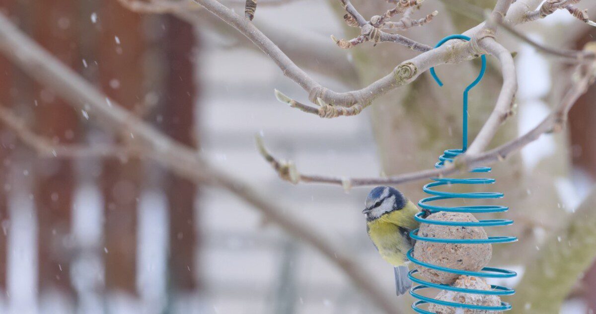 Ar vietoj šilumos sulauksime žiemos? Sinoptikė siunčia įspėjimą, jau galime ruoštis