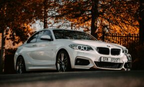 white bmw m 3 coupe parked near brown trees during daytime