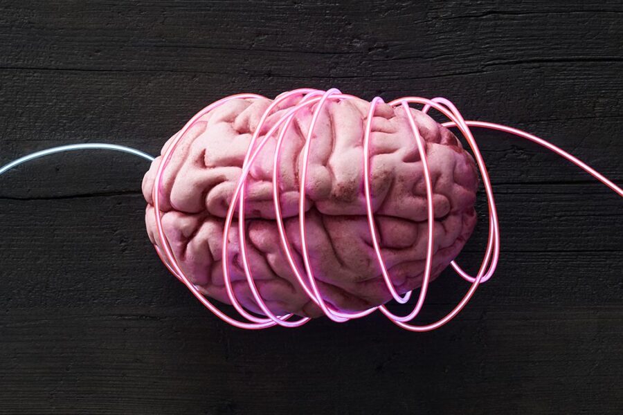 Mokslininkai šokiravo pasaulį: mini smegenys atskleidė šizofrenijos ir bipolinio sutrikimo kodą