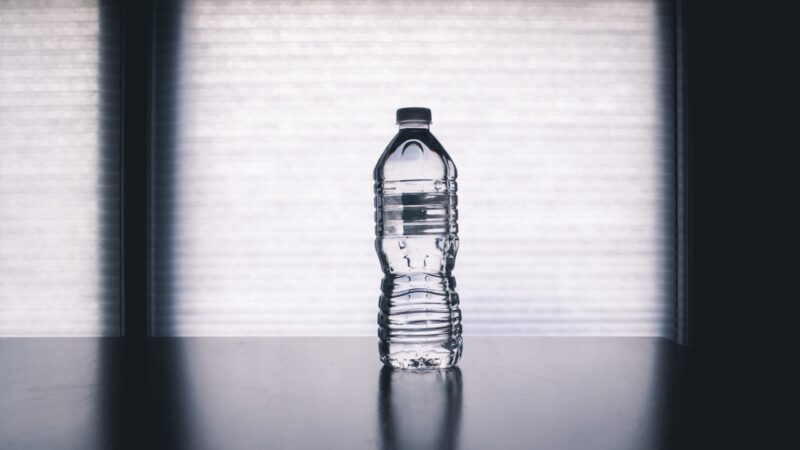 Žiemos sėja plastikiniuose buteliuose: paprastas, bet efektyvus metodas, kurį privalu išbandyti