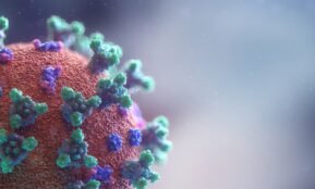 blue and brown round ornament