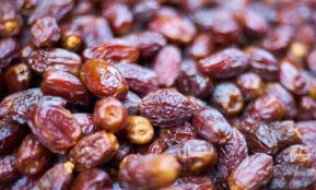 brown and white coffee beans