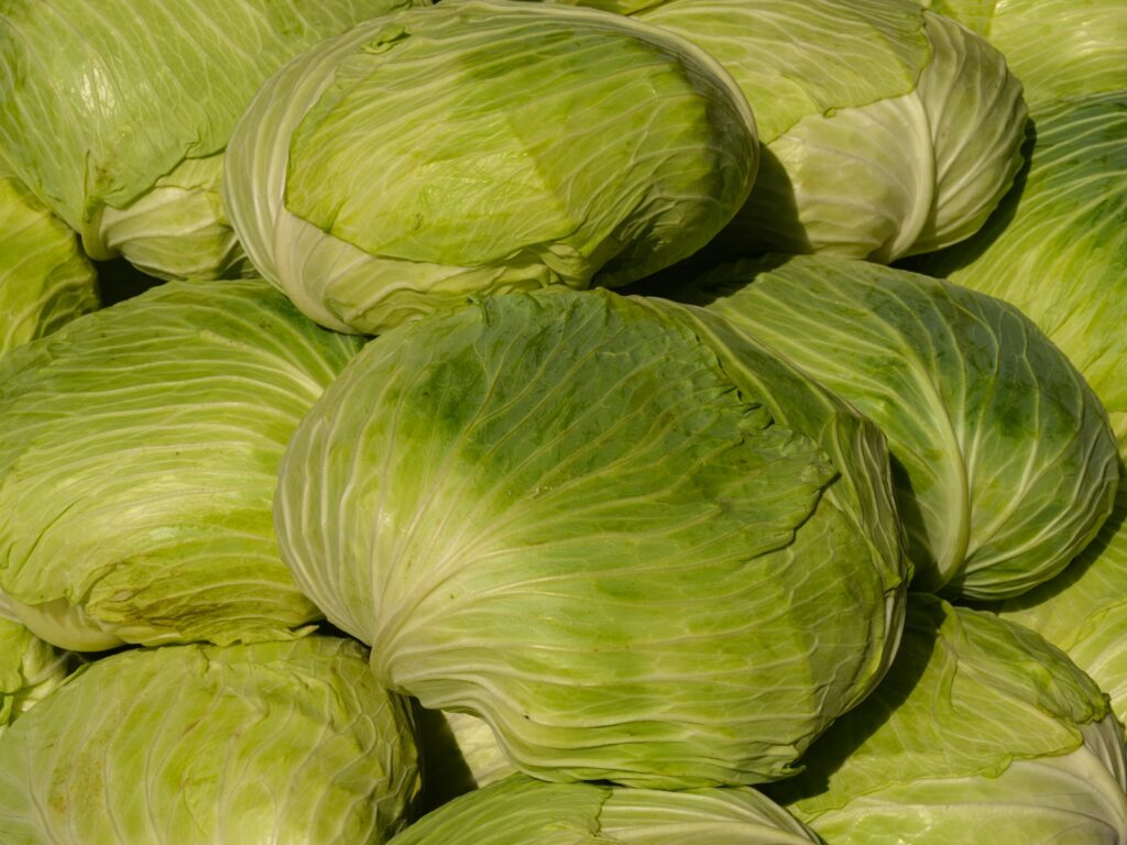 a pile of green cabbages piled on top of each other