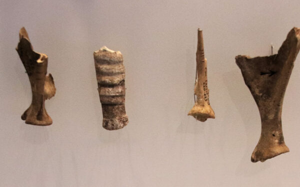 40 tūkst. metų senumo raižiniai stebina mokslininkus: užuomina į ankstyvą komunikacijos sistemą