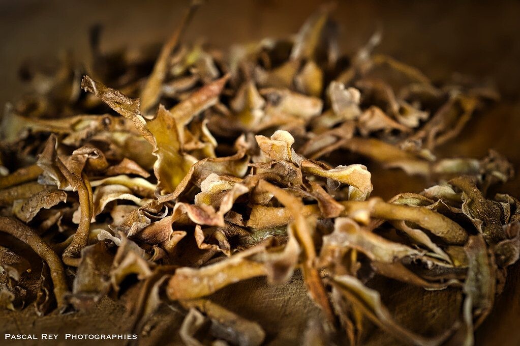 Nebešvaistykite pinigų! Natūralios trąšos be papildomų išlaidų, kurias rasite virtuvės šiukšlių dėžėje