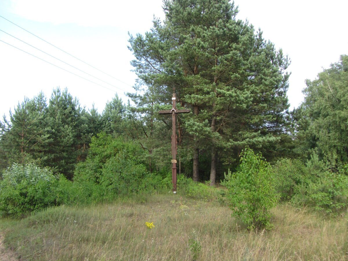 Sprendimas, kuris kiršina visuomenę: dėl ko visuomenės dalis protestavo Vilniuje?