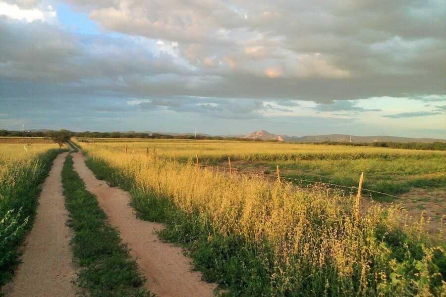 Ūkininkams ruošiamos naujos taisyklės: Vyriausybė pateiks įstatymo pataisas