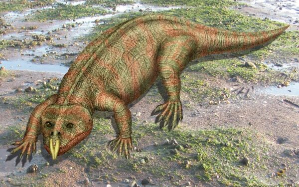 Retas paleontologų atradimas: Brazilijoje aptiktas ką tik išsiritusio rinozauro pėdsakas