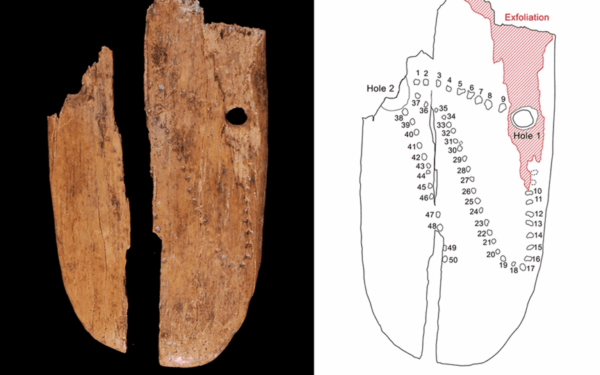 Šokiruojantis atradimas Lenkijoje: smurtinis kanibalizmo epizodas prieš 18 tūkst. metų