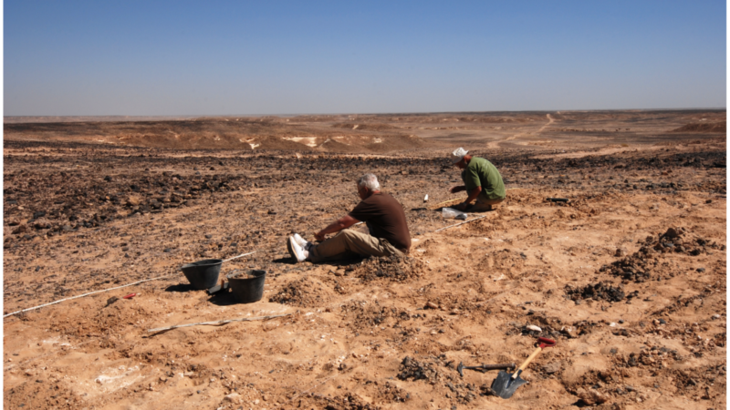 Seniausių migracijų paslaptis: tyrimas iš Omano atskleidė, kas nutiko ankstyviesiems žmonėms Arabijoje