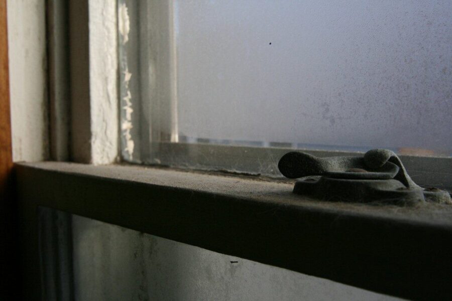 Pelėsio grėsmė prasideda nuo langų: praktiniai patarimai, kurie padės sumažinti drėgmę namuose