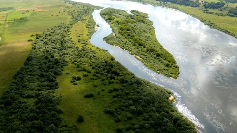 Neris gali būti pavojuje: aplinkosaugininkai jau kreipėsi į policiją, situacija kelia rimtų klausimų