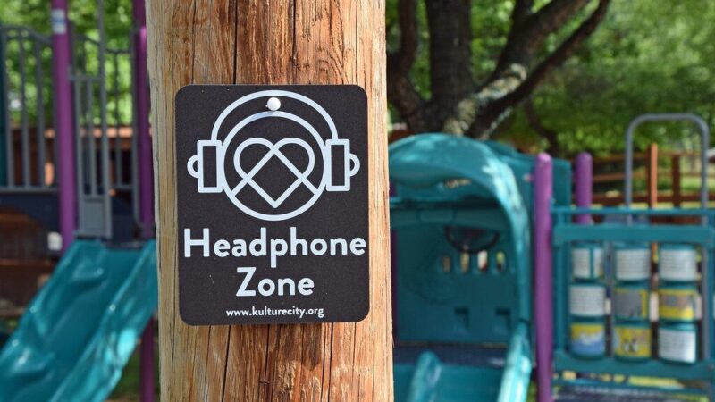 „Thunder“ ausinių apžvalga: V formos garsas ir nauja konstrukcija iš „Headphone Zone“