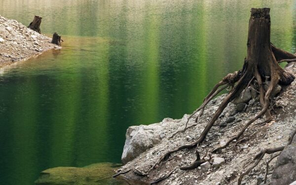 Gamta pateikė mįslę: kodėl tvenkinio Čekijoje ledas staiga nusidažė ryškiai žaliai?