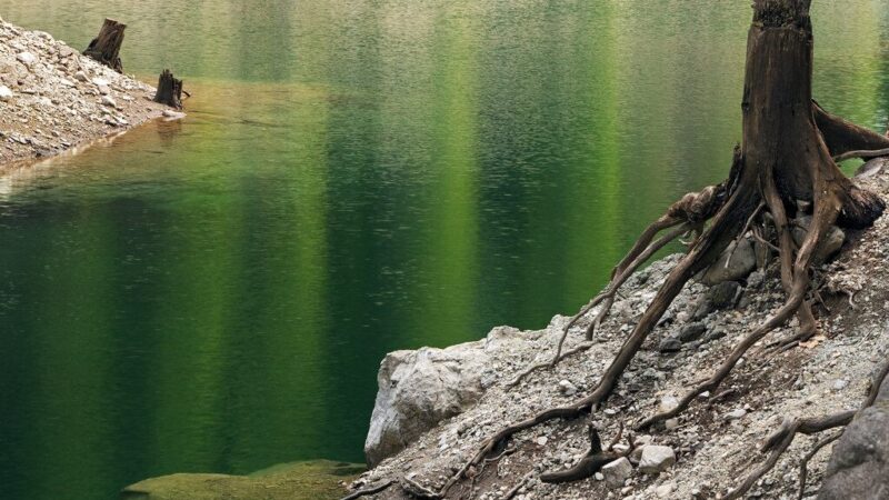 Gamta pateikė mįslę: kodėl tvenkinio Čekijoje ledas staiga nusidažė ryškiai žaliai?