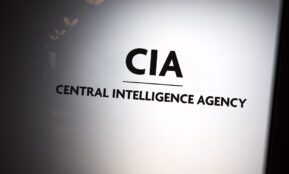 CŽV. Openverse nuotr.