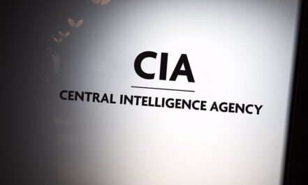 CŽV. Openverse nuotr.