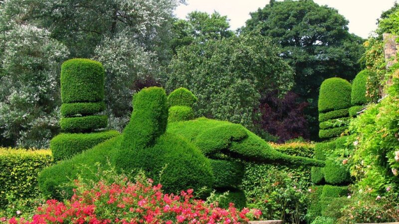 Ar įmanoma paprastą krūmą paversti sodo šedevru? Suformuokite įspūdingas figūras be didelių išlaidų