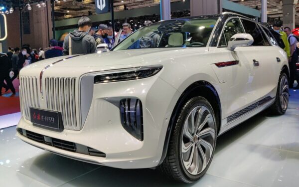 Prabangus automobilis tampa galvos skausmu: net norvegai nežino ką daryti su šiais modeliais