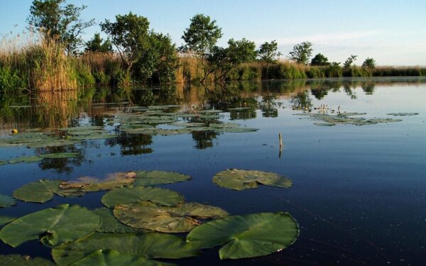 3 iš 8 žmonių renkasi netinkamą miestą gyvenimui: sužinok, ar nepadarei šios kritinės klaidos