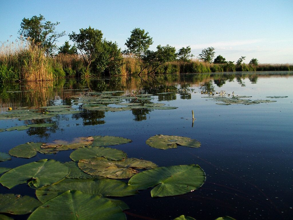 3 iš 8 žmonių renkasi netinkamą miestą gyvenimui: sužinok, ar nepadarei šios kritinės klaidos