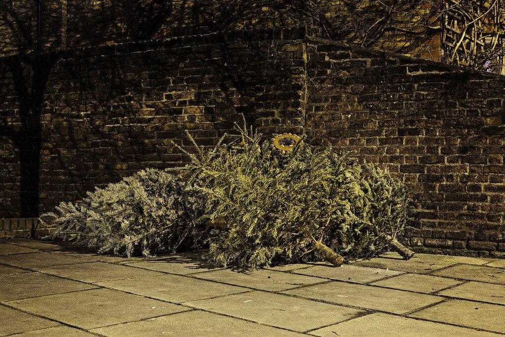 Klaida, kuri metų pradžioje gali brangiai kainuoti, taip išmetama eglutė užtrauks baudą