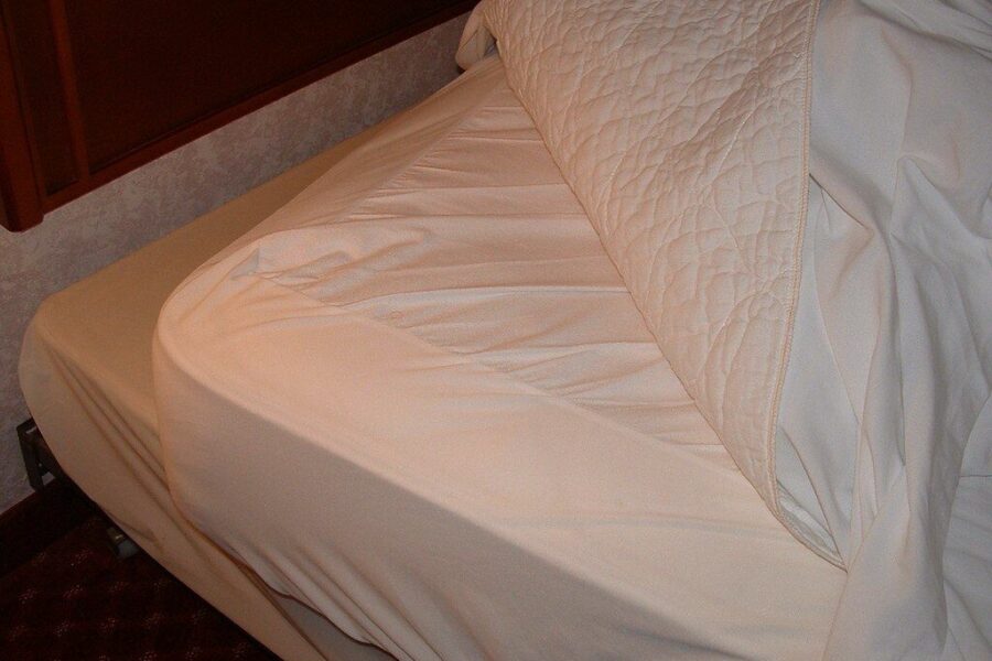 Nepastebima problema namuose: specialistai atskleidžia, kaip atpažinti blakes ir jų pėdsakus