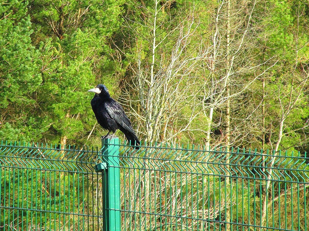 Seime svarstoma idėja, kuri gali pakeisti žemės savininkų sprendimus