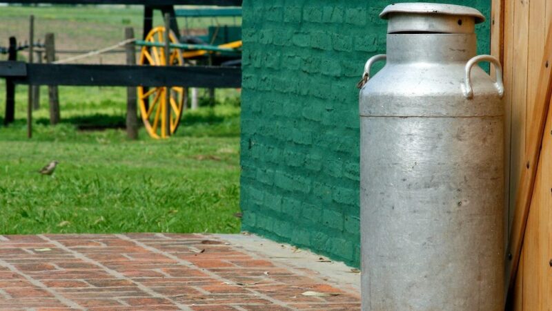 Pieno sektorius laukia sprendimų: „Pieno centras“ siūlo Lietuvai jungtis prie bendros pozicijos