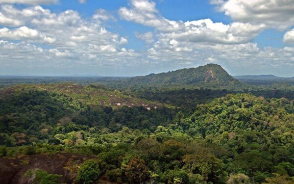 Amazonės džiunglėse stūkso keista piramidė: mokslininkai iki šiol neturi aiškaus atsakymo