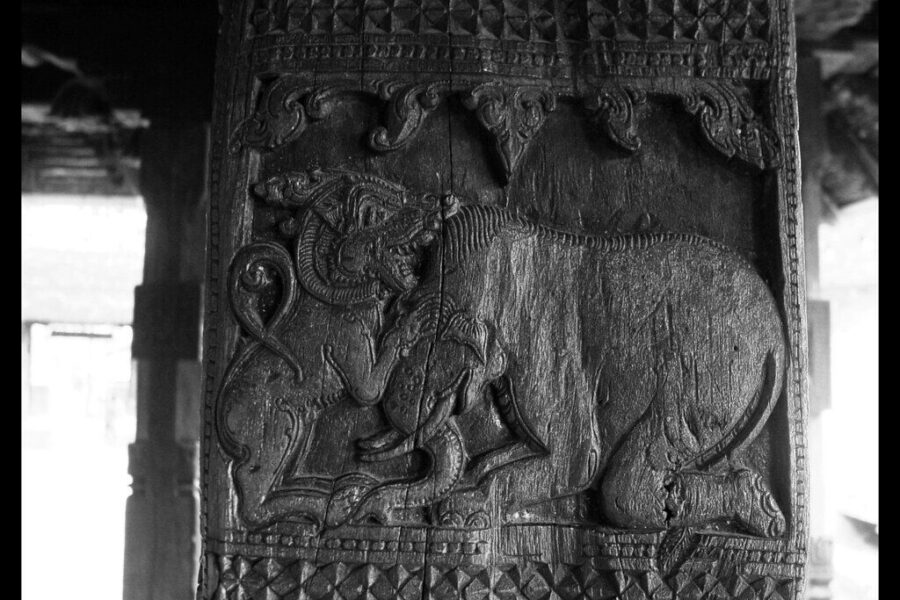 Senovės karo paslaptys: Ispanijoje aptiktas radinys gali patvirtinti Hanibalo kovinių dramblių naudojimą