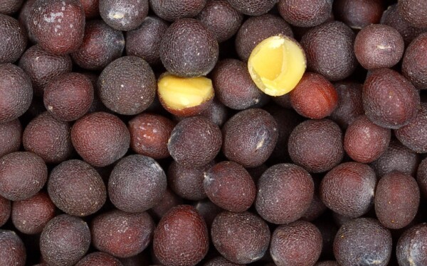 Juodoji garstyčia virtuvėje: paprastas būdas suteikti patiekalams daugiau skonio