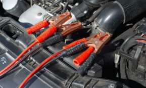 black and brown handle hand tool