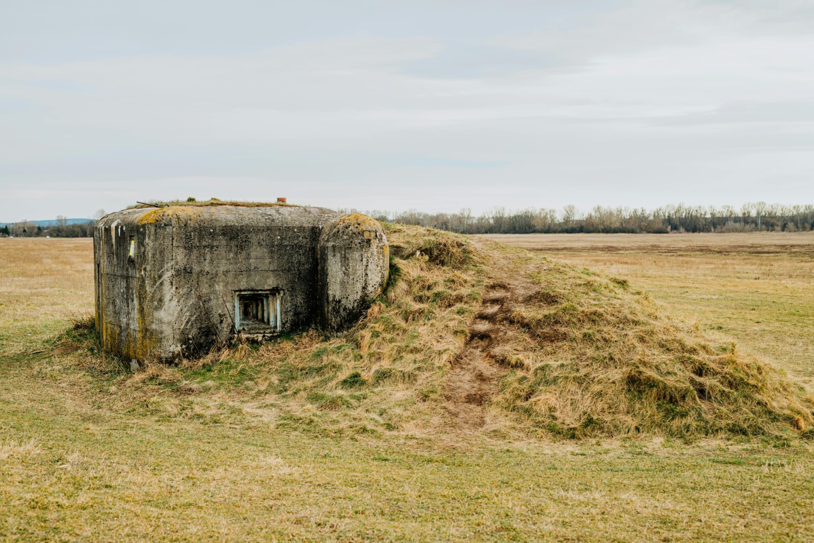 Concrete bunker covered with grass on a rural field, showcasing an abandoned, historical military structure.