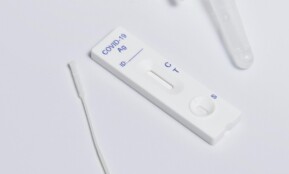 Close-up of a COVID-19 rapid antigen test kit showing the testing strip and swab.