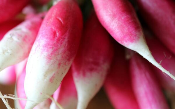 Vitaminai, plaukai ir pavasarinė mityba: sužinokite, kuo naudingi ridikėliai ir kaip juos vartoti