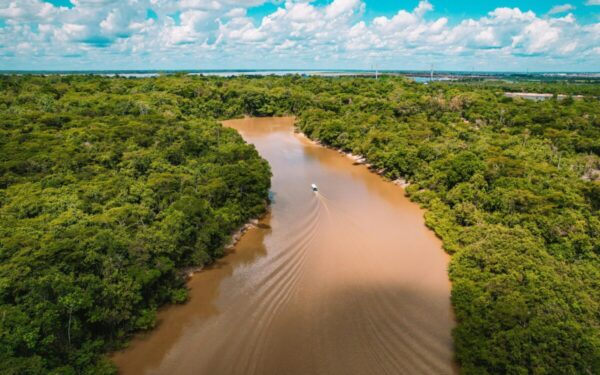 Prarastos Atlantidos ir Amazonės civilizacijos: sužinokite, ką atskleidžia nauji archeologiniai tyrimai